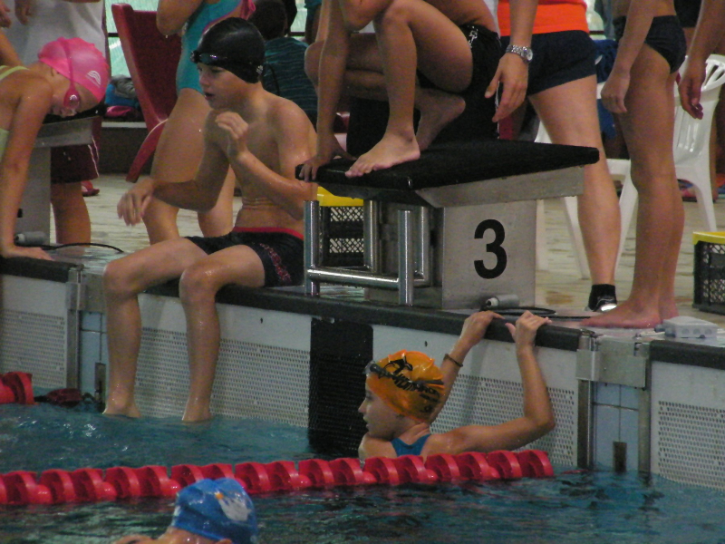 Székesfehérvár úszóverseny